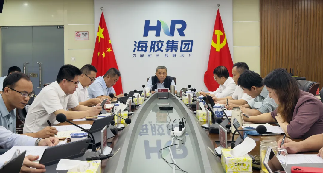 海南橡膠召開黨委會(huì)（擴(kuò)大）會(huì)議 研究部署經(jīng)營管理、未規(guī)范管理土地整治等工作